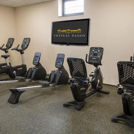 Hotel Chateau Sanov Sanov (Rakovnik)