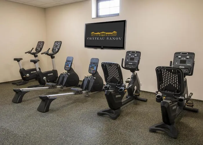 Hotel Chateau Sanov Sanov (Rakovnik)